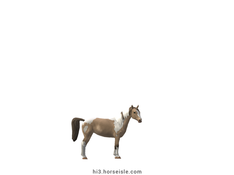 American Miniature Horse Amber Pearl Tobiano Coat